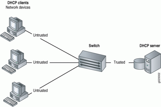 dhcp server 560x371 DHCP Server