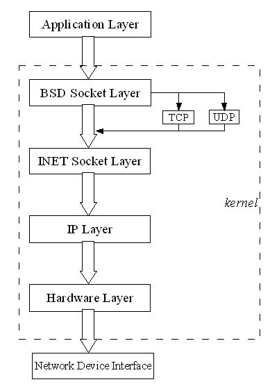 The Application Layer of the